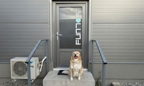 funto_pro_reference_04